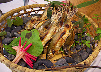 お待たせしました!!今年も岩魚の登場です